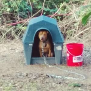 Meet your Posher, Raw